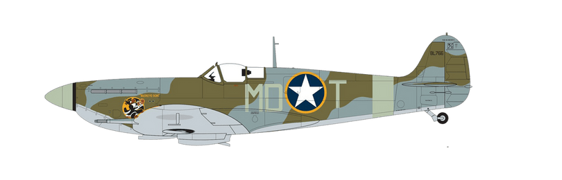 Supermarine Spitfire Mk.Vb Buckeye Don, Supermarine Spitfire Mk.Vb flown by 2nd Lieutenant Don Gentile, 336th Fighter (A)