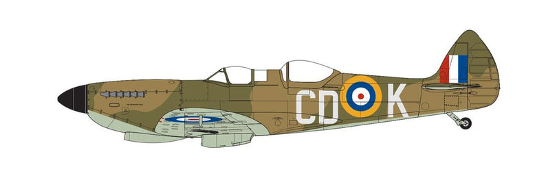 Supermarine Spitfire Tr.9, Iver, Buckinghamshire, England, 1969. (B)