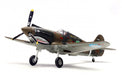 Panzerkampf P-40C Warhawk 1st PS Adam and Eve Serial 5 1/72 Diecast Model Aircraft - PAN14623LB