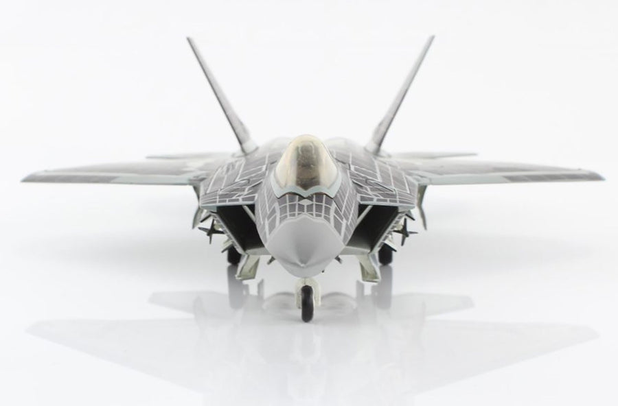 Hobby Master F-22 Raptor Symbiote 1:72 Diecast Model Aircraft HA2828