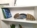 Bachmann Hardened Aircraft Shelter Low Relief 1:72 Scale Display Case